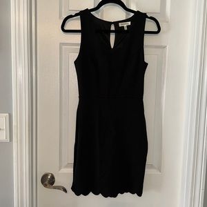 NWT Body-con Black Dress